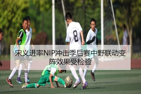 宋义进率NIP冲击季后赛中野联动变阵效果受检验